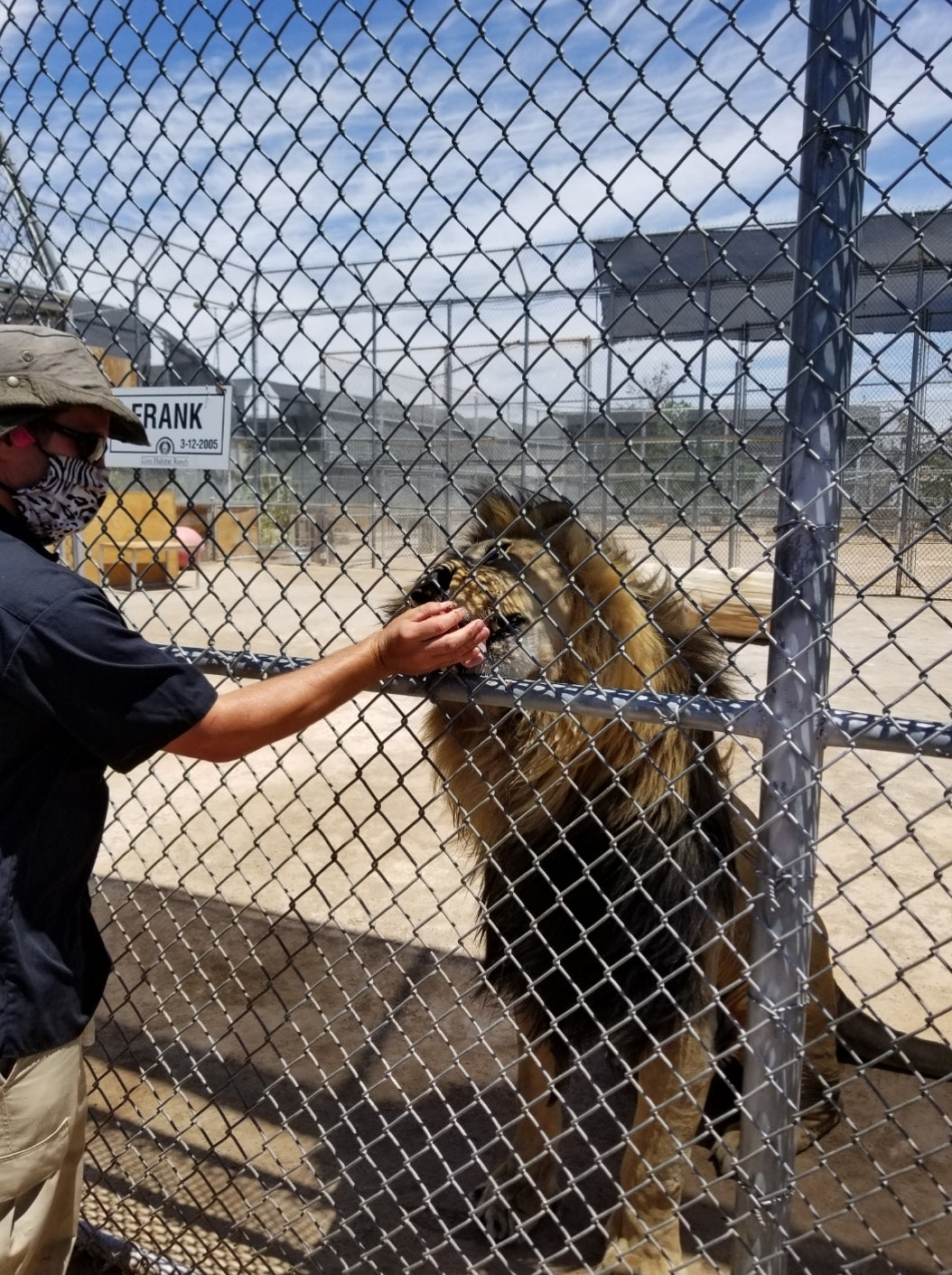 DO IT YOUR OWN WAY PRIVATE TOUR!! 6 hrs. ๐๐๐ต๐ฆผ๐บ๐ฅ๐