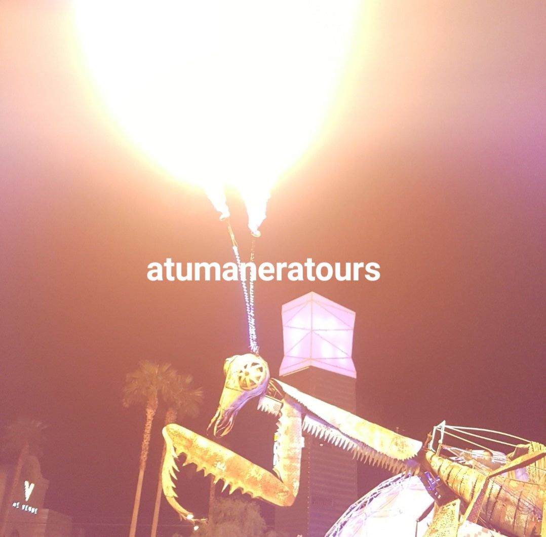 Vegas night tour!! (For 4 people) "Tour Privado" πΈπΌπ½π‘πͺπ’ππ