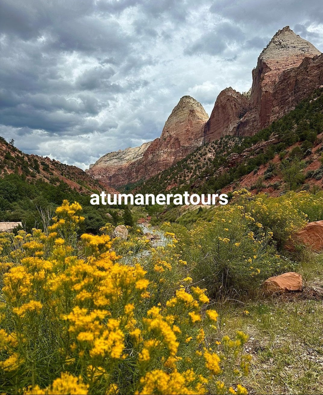 ZION NATIONAL PARK PRIVATE TOUR!! FOR 2 PEOPLE .ππ»πππβ°οΈπͺ¨πͺ΅π