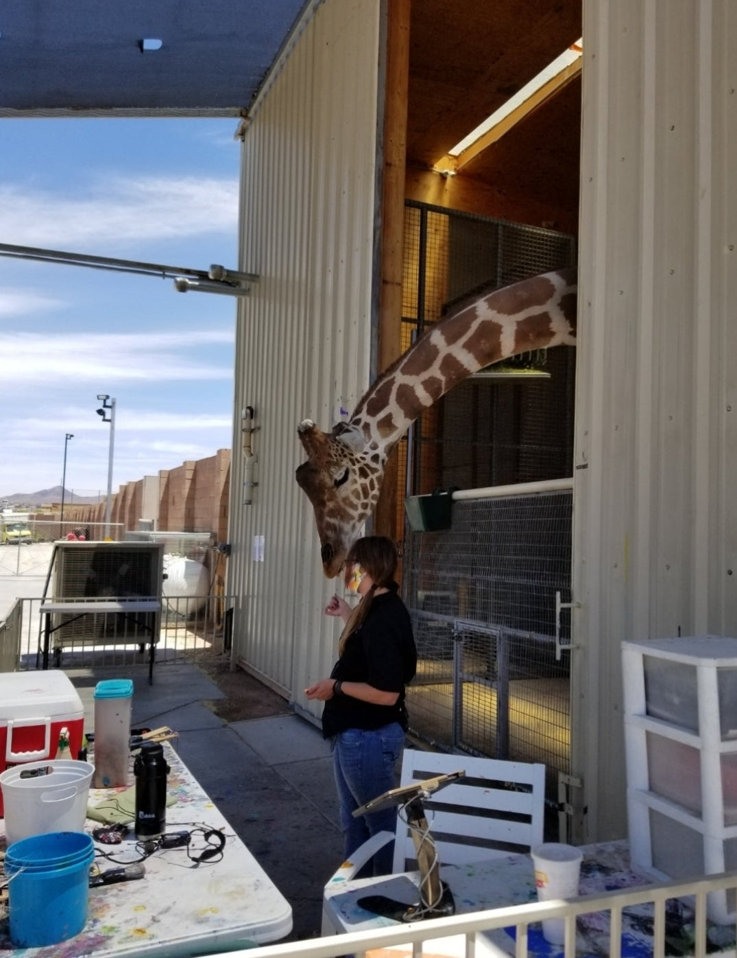 Kids PRIVATE TOURS!! 🤡🙋👻😇🤹♀️🤹♂️ (FOR 6 PEOPLE) "Tour Privado"