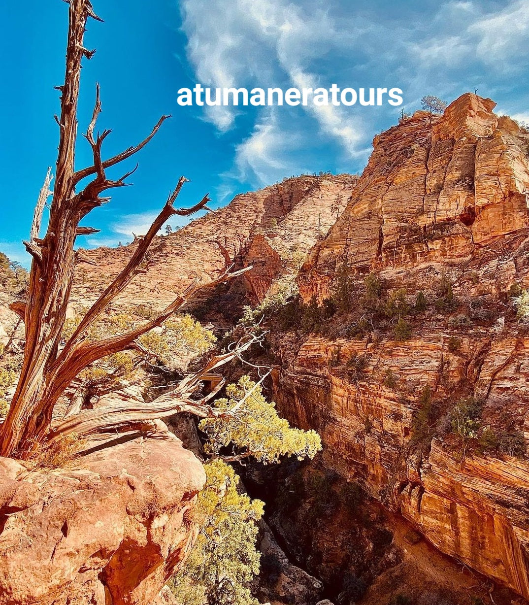 ZION NATIONAL PARK TOUR!! Para 2 personas. (Tour Privado)🌋🗻🏕🏜🏔⛰️🪨🪵🛖