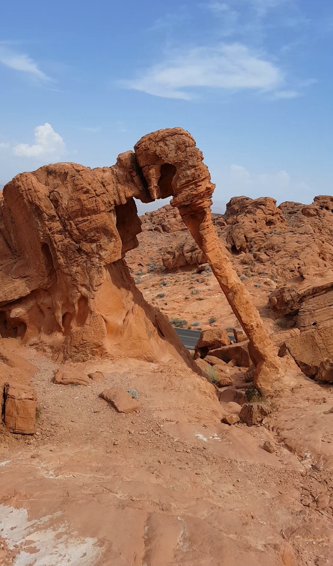 Virtual Tour en Español, VR headband!! VALLEY OF FIRE.🐾🫏🐂🦬🦎🐫🦇🐆