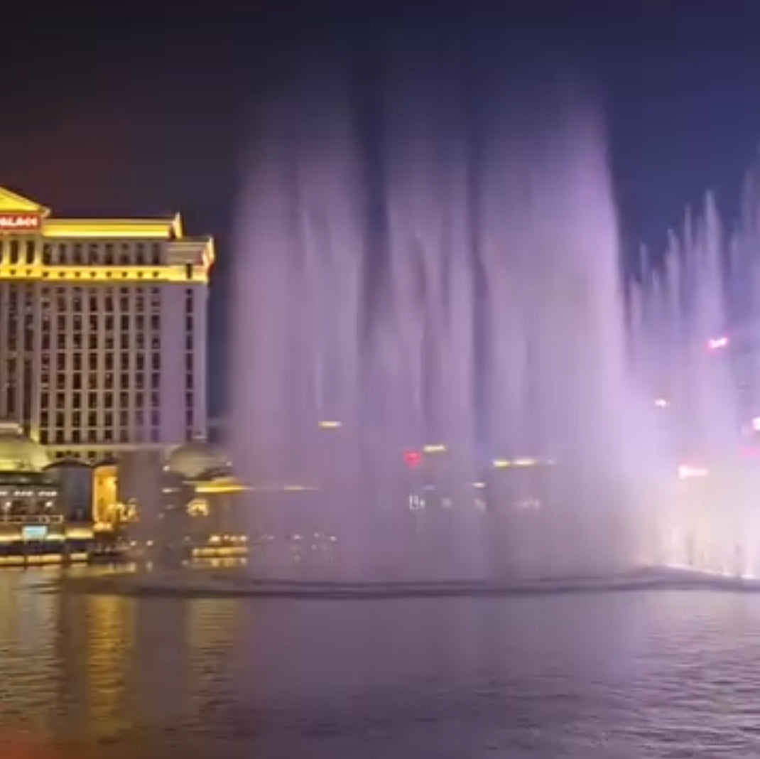 Bellagio & Las Vegas Sign. (FLASH TOUR) Private Tour. 🤩