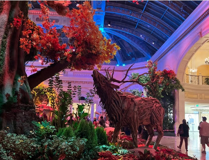 Bellagio & Las Vegas Sign. (FLASH TOUR) Private Tour. 🤩