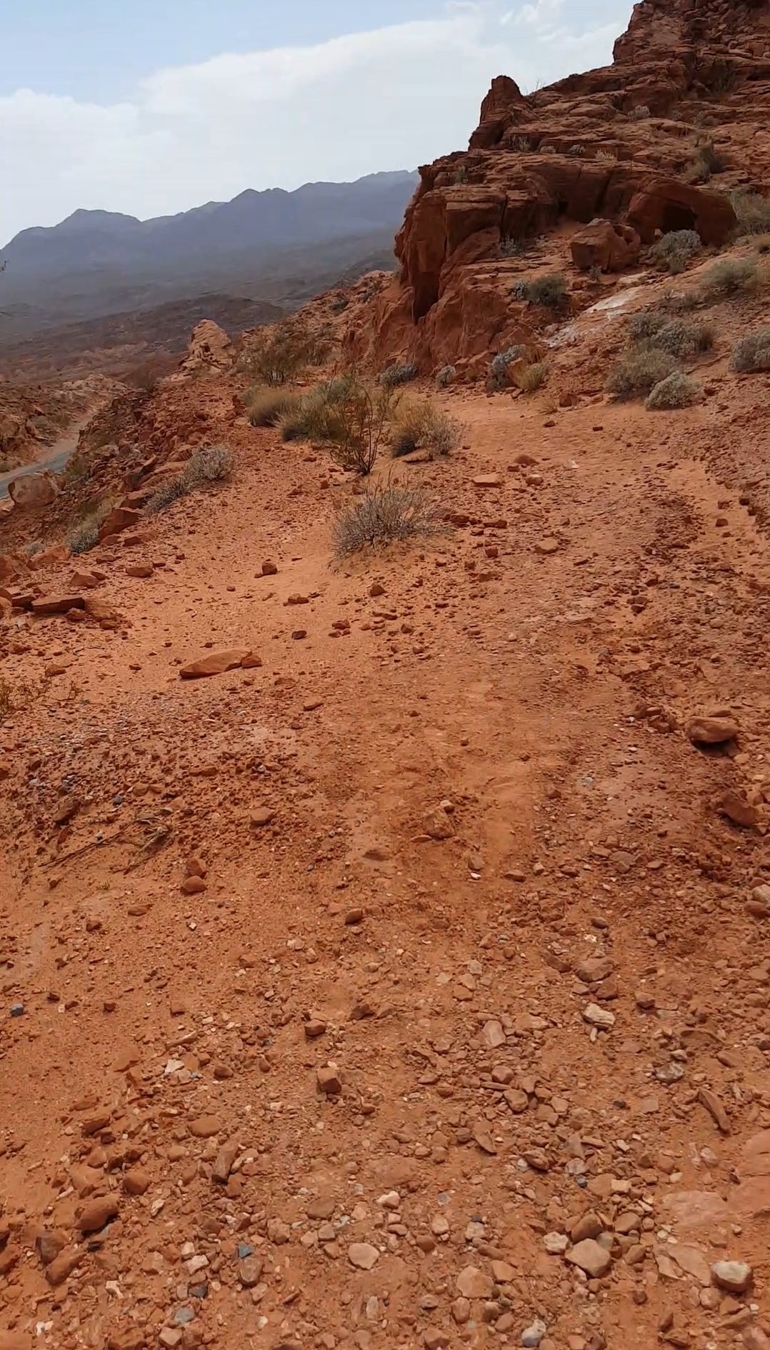 Virtual Tour en Español, VR headband!! VALLEY OF FIRE.🐾🫏🐂🦬🦎🐫🦇🐆