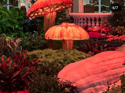 Bellagio & Las Vegas Sign. (FLASH TOUR) Private Tour. 🤩