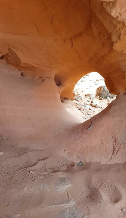 Virtual Tour en Español, VR headband!! VALLEY OF FIRE.🐾🫏🐂🦬🦎🐫🦇🐆