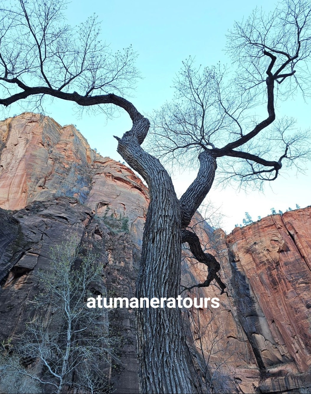 Virtual Tour en Español, VR headband. Zion National Park.🌋🗻🏕🏜🏔⛰️🪨🪵🛖