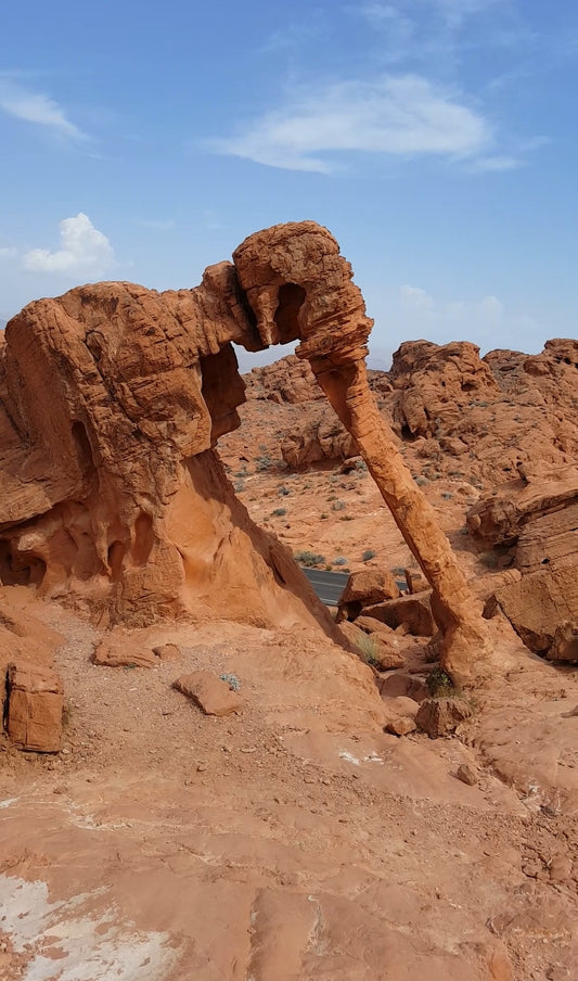 Valley of fire 🔥 (Para 6 personas)" Tour Privado"🐾🫏🐂🦬🦎🐫🦇🐆