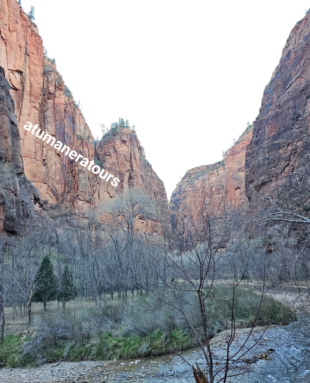 ZION NATIONAL PARK TOUR!! Para 2 personas. (Tour Privado)🌋🗻🏕🏜🏔⛰️🪨🪵🛖