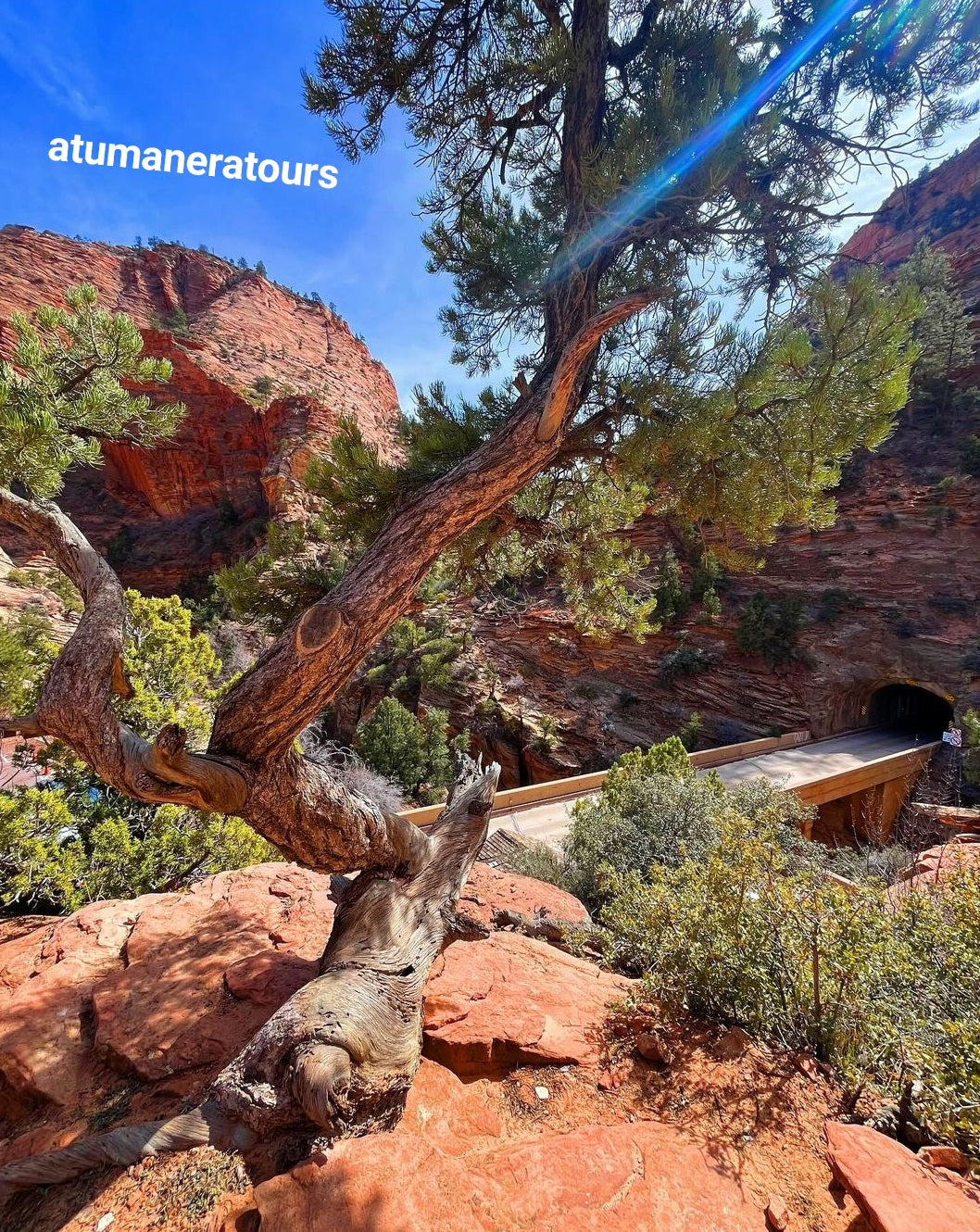 ZION NATIONAL PARK TOUR!! Para 2 personas. (Tour Privado)🌋🗻🏕🏜🏔⛰️🪨🪵🛖