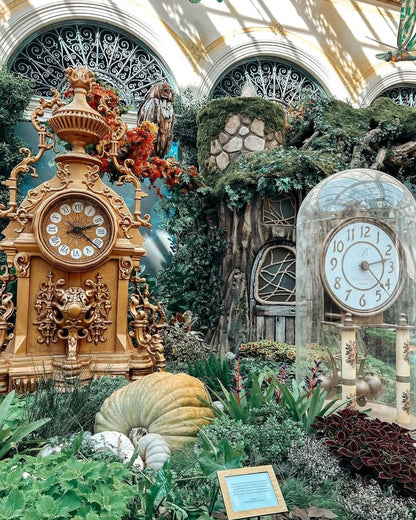 Bellagio & Las Vegas Sign. (FLASH TOUR) Private Tour. 🤩