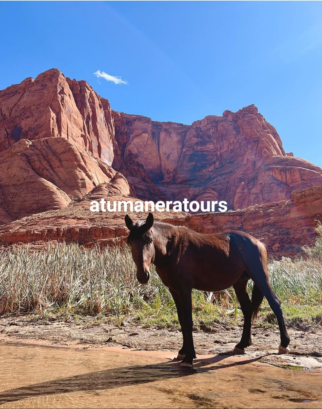 ANTELOPE CANYON TOUR!! Para 6 personas. (TOUR Privado)📸⛰️🌋🗻