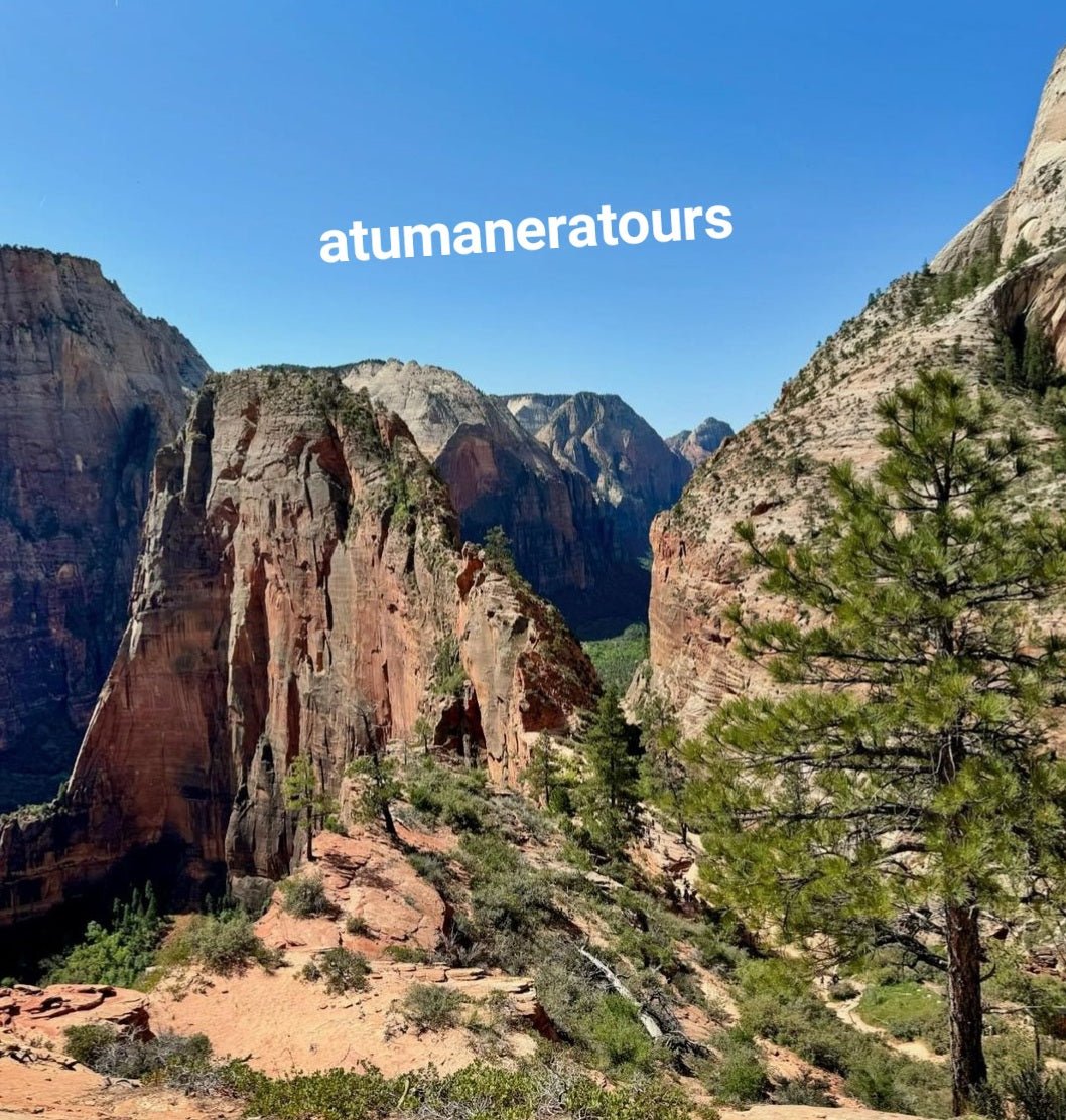 ZION NATIONAL PARK TOUR!! Para 2 personas. (Tour Privado)🌋🗻🏕🏜🏔⛰️🪨🪵🛖