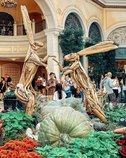 Bellagio & Las Vegas Sign. (FLASH TOUR) Private Tour. 🤩