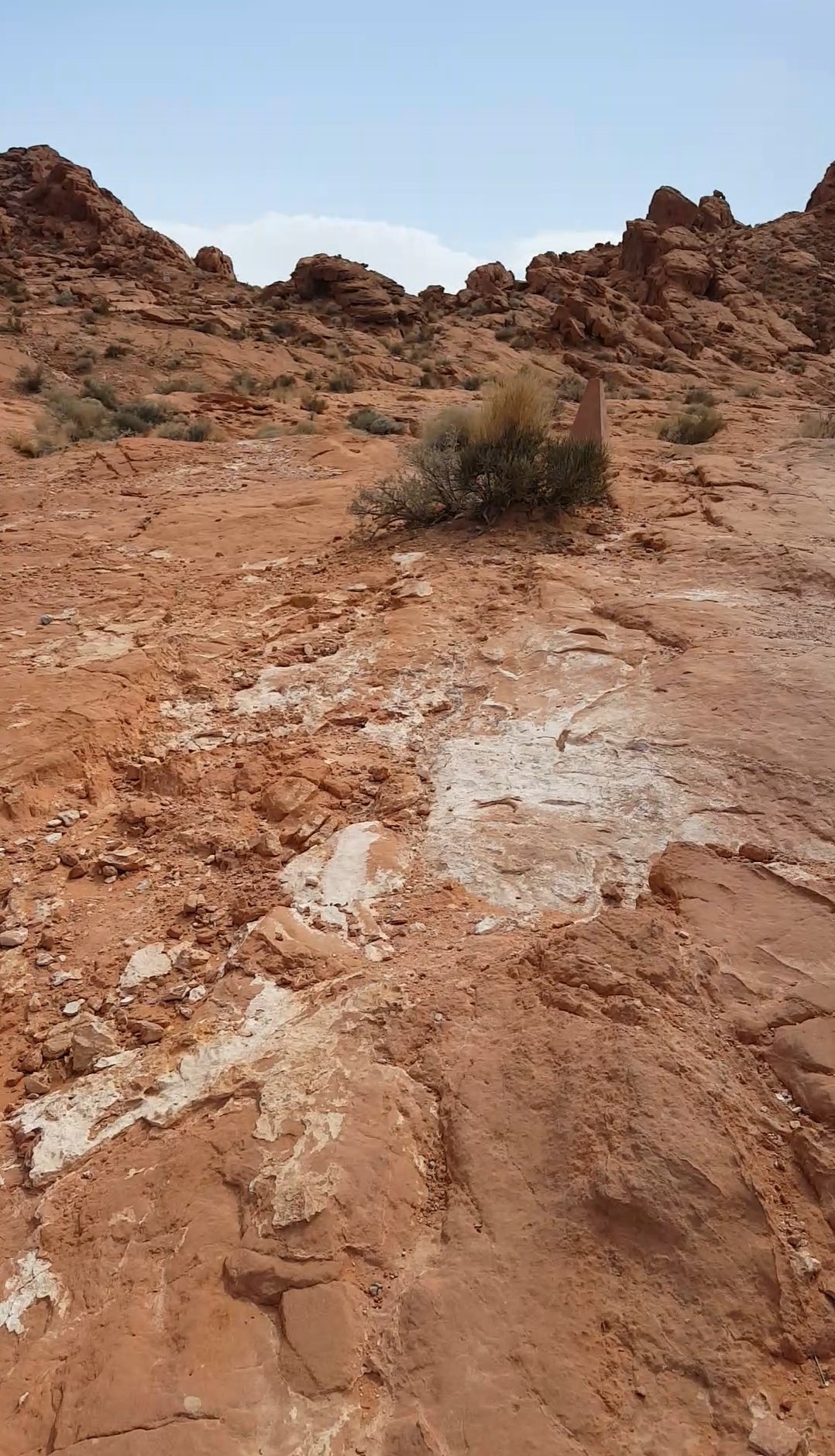 Virtual Tour en Español, VR headband!! VALLEY OF FIRE.🐾🫏🐂🦬🦎🐫🦇🐆