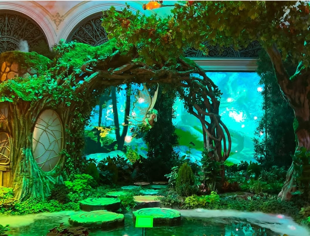 Bellagio & Las Vegas Sign. (FLASH TOUR) Private Tour. 🤩