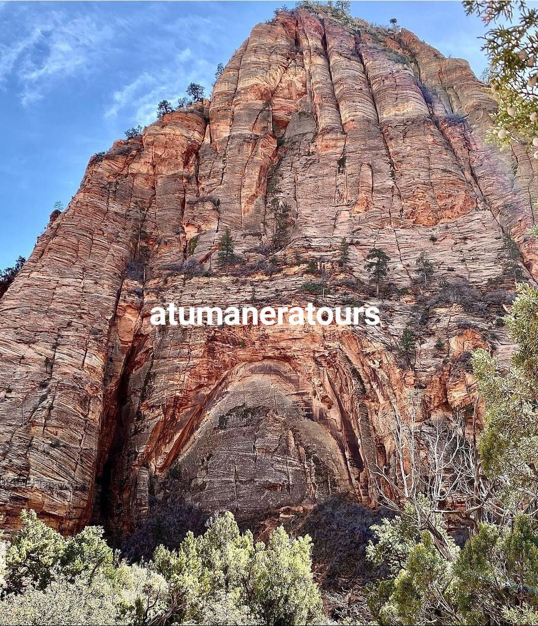 ZION NATIONAL PARK TOUR!! Para 4 personas. (Tour Privado)🌋🗻🏕🏜🏔⛰️🪨🪵🛖